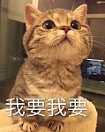 【两性】啪啪啪秘籍，男人不得不懂的十大绝招！！！（组图）