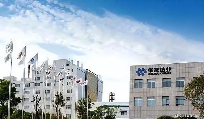 没想到,印尼卡镍卡了三个月,逼中企停产,反倒帮了中国一个大忙 - 3