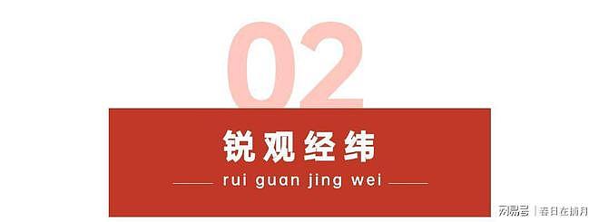 没想到,印尼卡镍卡了三个月,逼中企停产,反倒帮了中国一个大忙 - 8