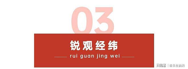 没想到,印尼卡镍卡了三个月,逼中企停产,反倒帮了中国一个大忙 - 13