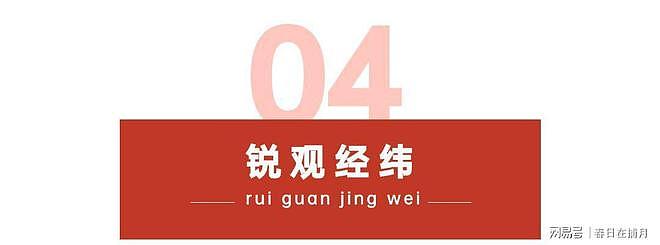 没想到,印尼卡镍卡了三个月,逼中企停产,反倒帮了中国一个大忙 - 20