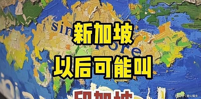 高官留给印裔!450万华裔矮人一头,被喊“印加坡”就急了? - 3