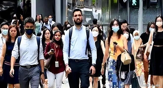高官留给印裔!450万华裔矮人一头,被喊“印加坡”就急了? - 5