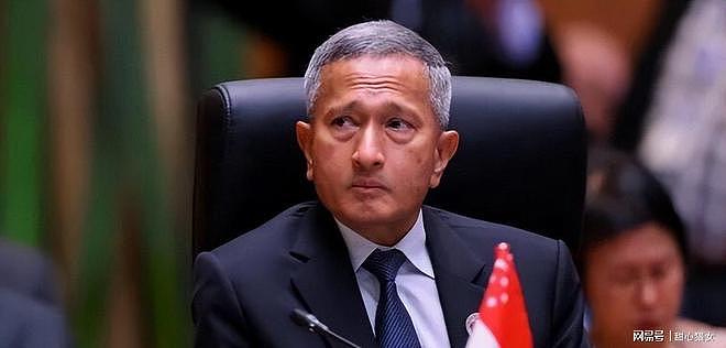 高官留给印裔!450万华裔矮人一头,被喊“印加坡”就急了? - 6