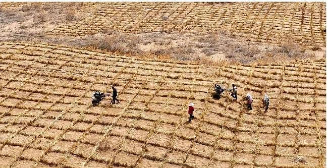独立百年的蒙古,正把中国40年的努力毁掉(组图) - 6