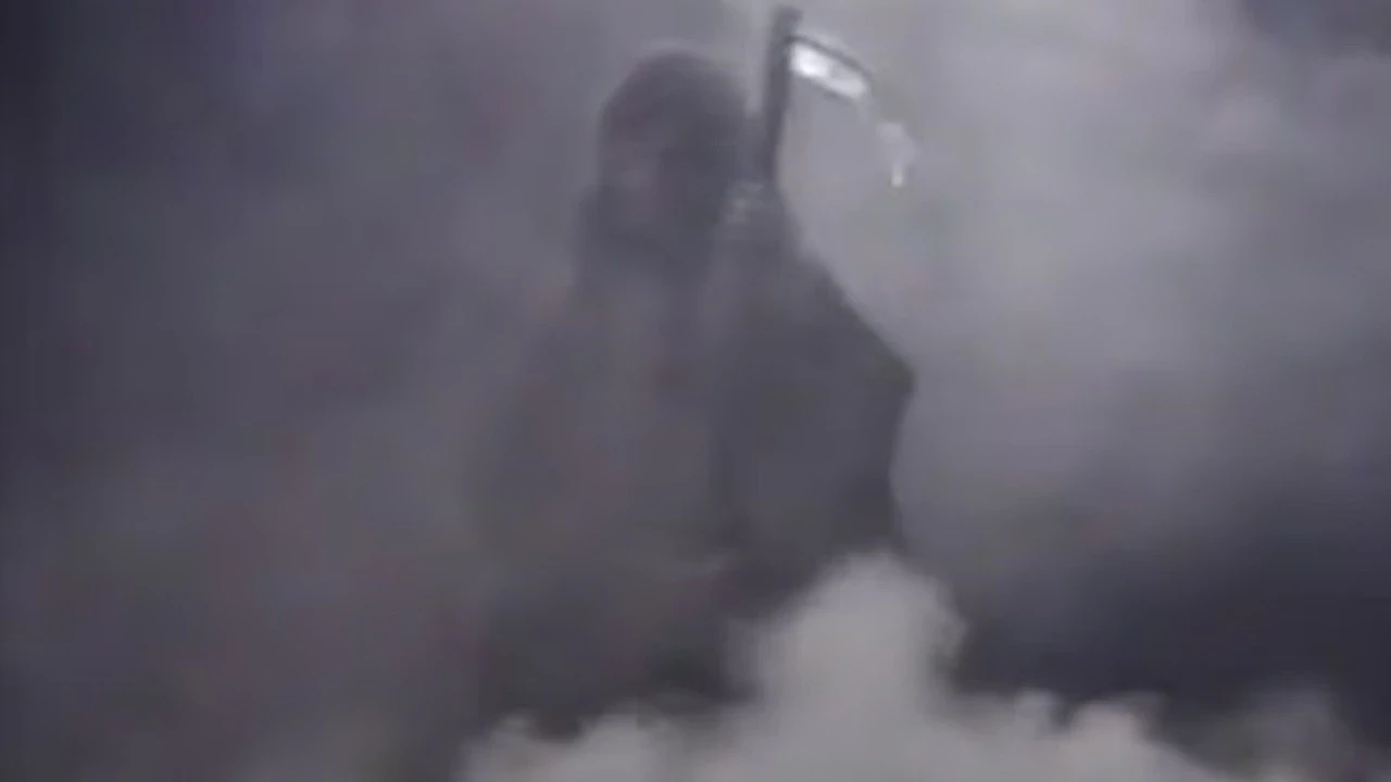 人口恐破1亿！商界大佬警告：人口过剩将摧毁澳洲，年移民人数应限制在7万（组图） - 3