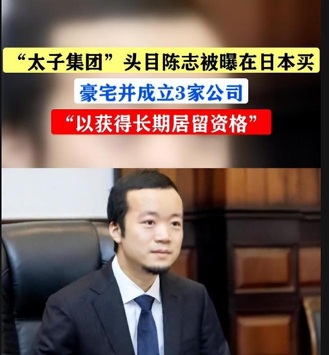 胡小伟被日本警方逮捕,他是太子集团陈志“幕后大佬” - 2