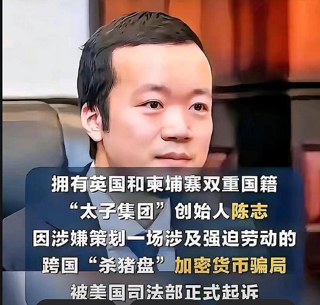 胡小伟被日本警方逮捕,他是太子集团陈志“幕后大佬” - 4