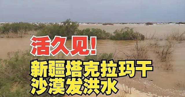 地球真的生病了?塔克拉玛干沙漠迎来暴雨,中国最干的地方发洪水(组图) - 1