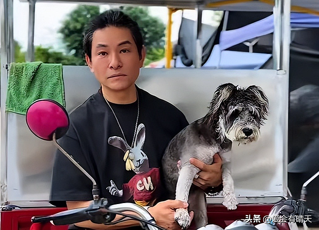 刘德华8年替身近况曝光：无戏可拍，街头摆地摊赚钱，依然有气质 - 15