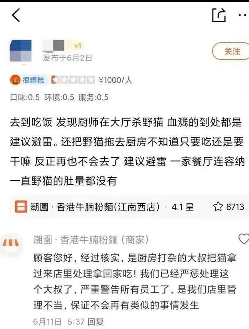 广州港式餐厅爆当众宰猫，“血溅得到处都是”引众怒 - 2