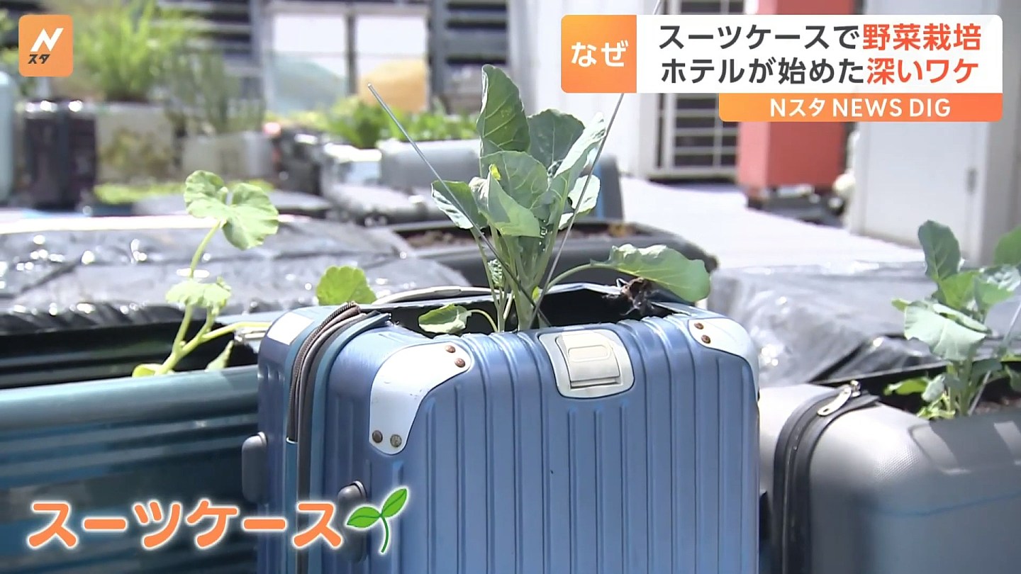 日本拟允地方限制民宿营业日数，上限可设为0日，华人老板恐亏惨（组图） - 13