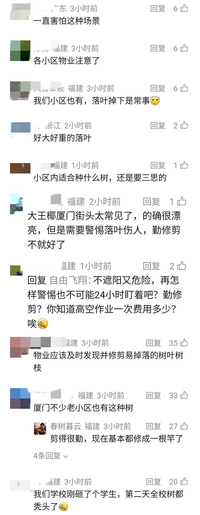 女子小区内被落叶砸中，胸椎腰椎骨折致十级伤残！法院判了！什么树有这威力？ - 4