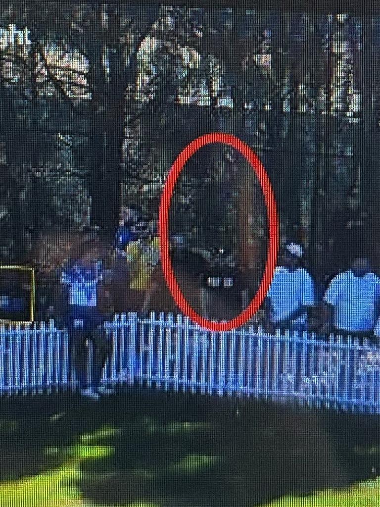 悉尼“黑帮战争”持续升级！头目藏身海外遥控街头暗杀，案件细节曝光（组图） - 6