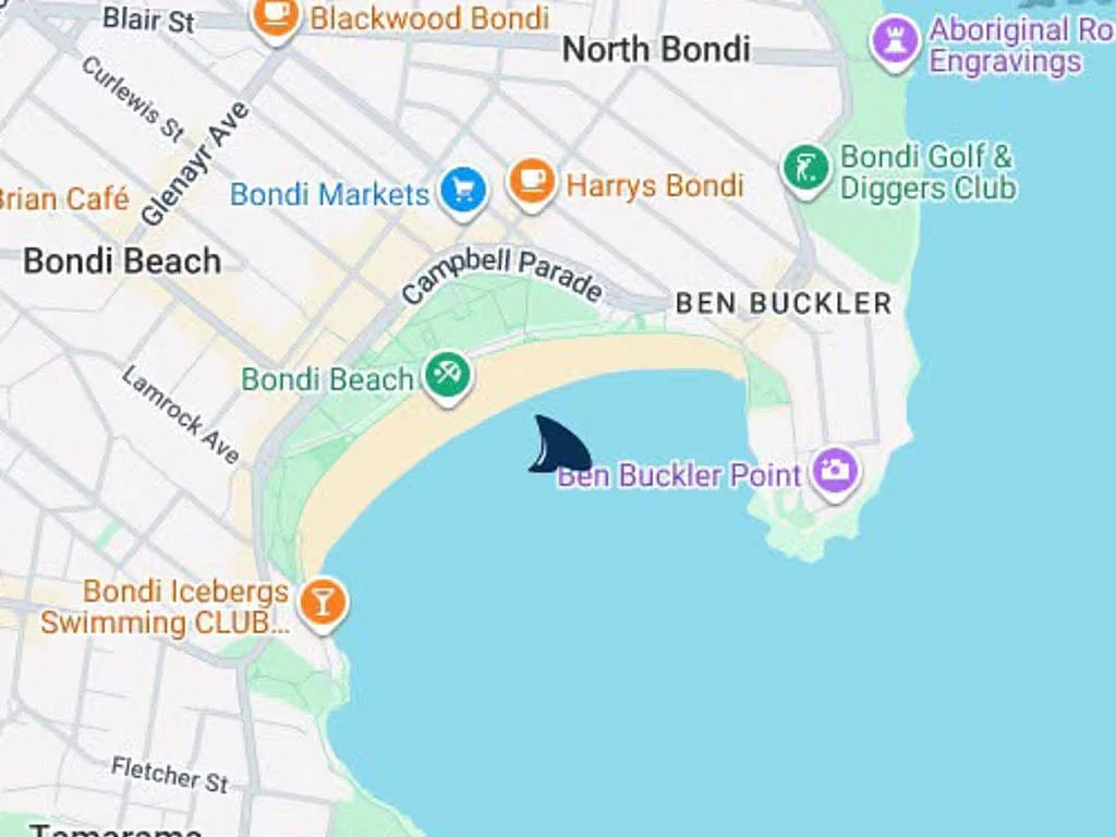 3米长大白鲨连续3天逼近冲浪人群！Bondi Beach被迫关闭（组图） - 4