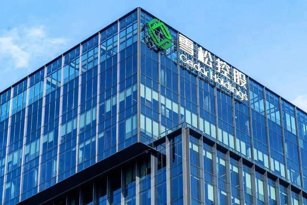 广州前首富涉非法集资被判无期！理财爆雷致6000人受害，金额高达200亿（组图） - 5
