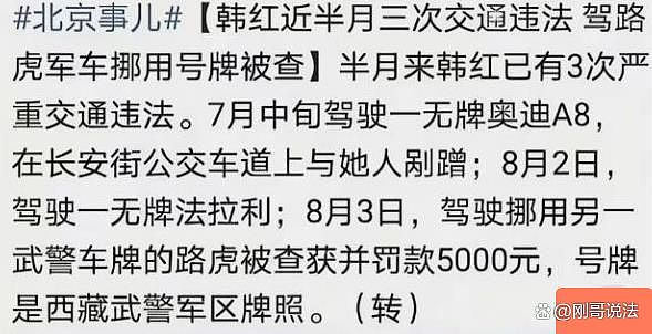 揪心的事情还是发生了！暂停捐助只是开胃菜，韩红更多黑料被扒 - 12