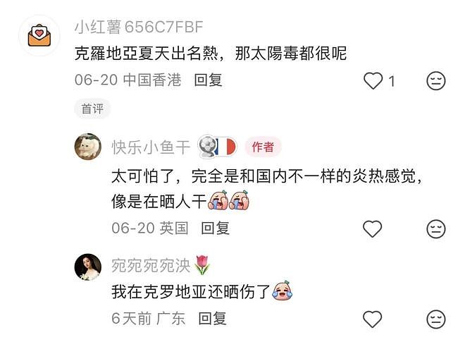 “带父母旅游，落地第一天妈妈晒脱水进医院” 热浪席卷欧洲，中国游客崩溃逃离（组图） - 2