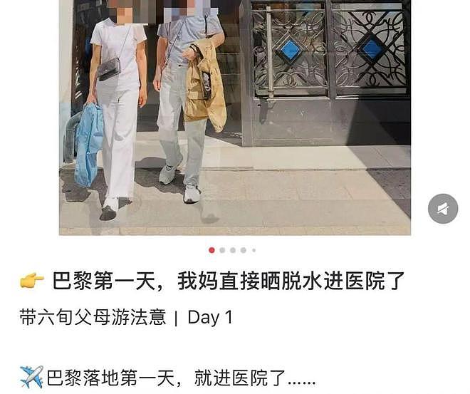 “带父母旅游，落地第一天妈妈晒脱水进医院” 热浪席卷欧洲，中国游客崩溃逃离（组图） - 8