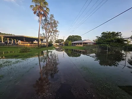 澳此地被指沦为“迷你特朗普式政府”，多项强硬新政引当地群体强烈反对（组图） - 2