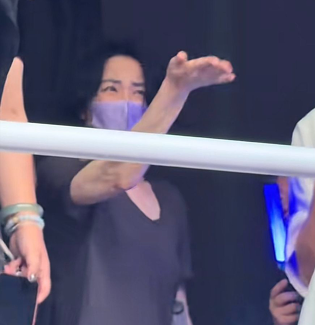 谢霆锋西安演唱会，王菲嗨疯了！手拿荧光棒，不断给男友加油（组图） - 5