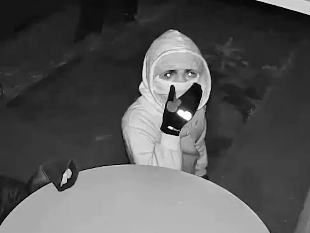 盗窃狂潮席卷澳洲小镇！窃贼竟利用6岁男童爬窗，洗劫独居老人 - 2