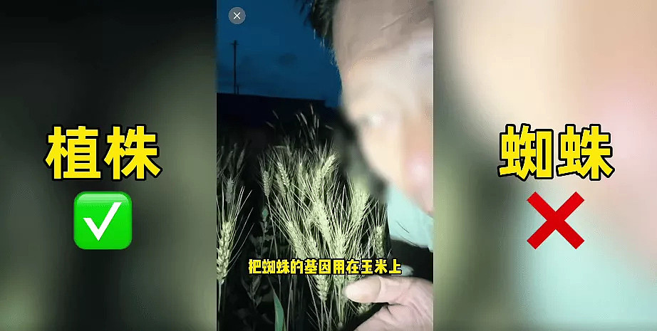 200万粉丝网红诋毁袁隆平成果：“变态杂交” - 1