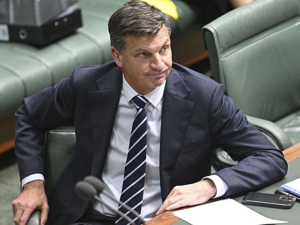 民调跌至新低！党魁Angus Taylor仍坚称联盟党稳如磐石（组图） - 1