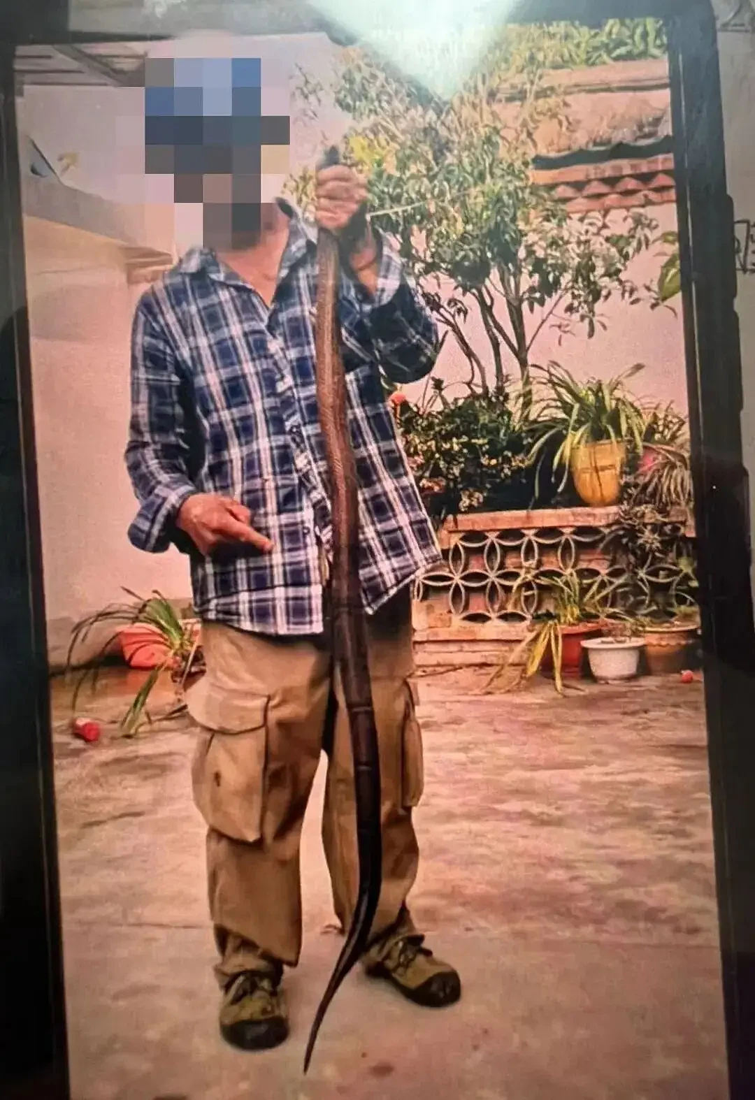 58岁男子徒手抓蛇，被咬后还和蛇淡定合影！结果...（组图） - 1