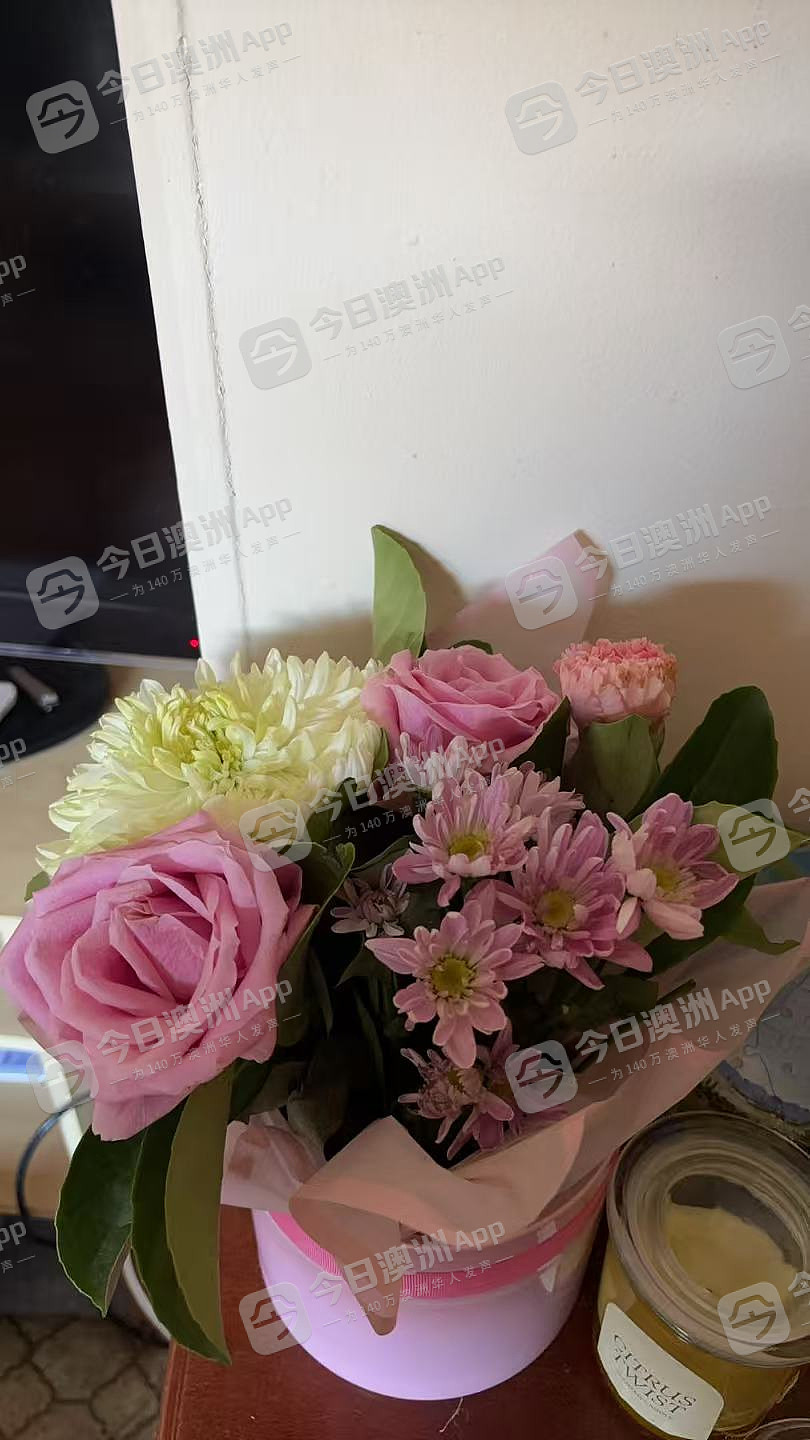 “一枚漂亮的卤蛋！”澳洲华女乳腺癌患者谈身体、尊严与死亡：“愣是活着，哪怕不合逻辑”（组图） - 3