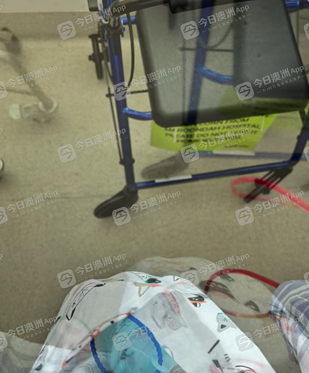 “一枚漂亮的卤蛋！”澳洲华女乳腺癌患者谈身体、尊严与死亡：“愣是活着，哪怕不合逻辑”（组图） - 2