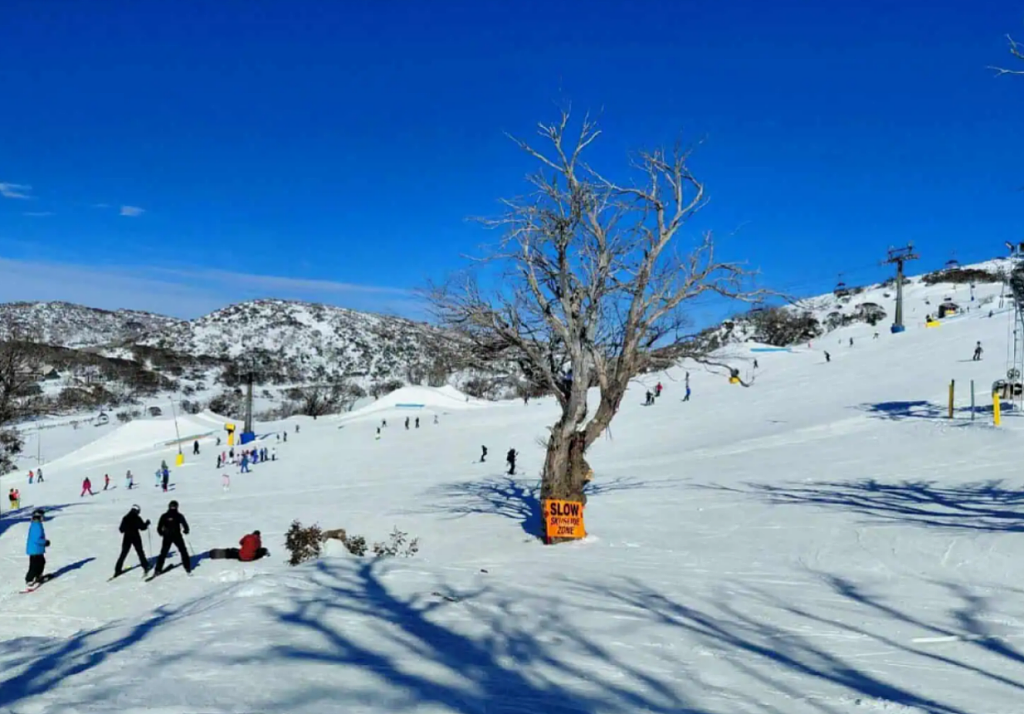 澳洲亲子滑雪全攻略！ 雪场怎么选？装备怎么租？怎么玩更省钱？ - 6
