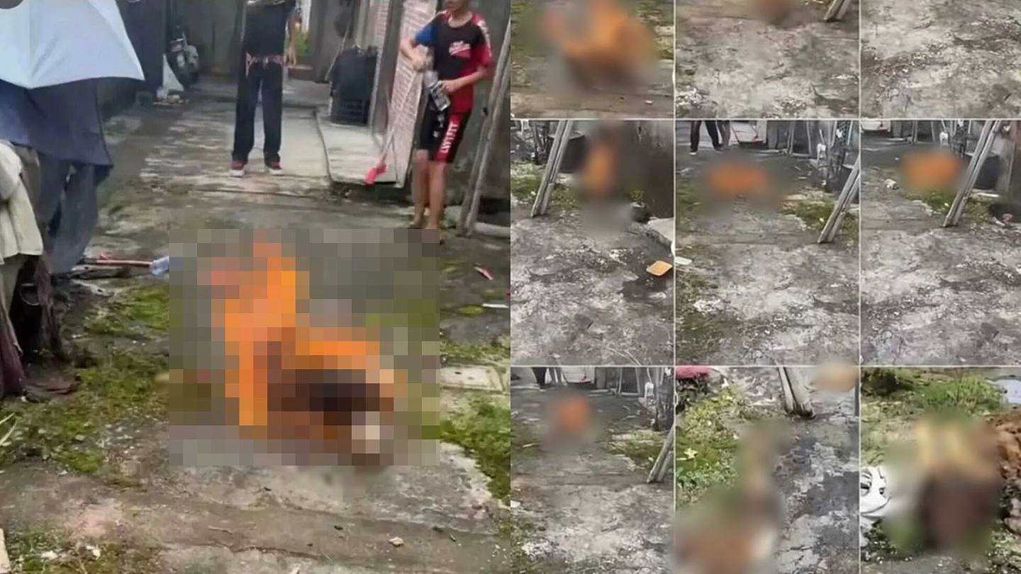 揭阳4少年当街棍打幼犬，淋油烧死母狗，未满14岁 - 1