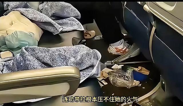 为全机降落买单！大妈万米高空撒泼，后续代价让全网极度舒适 - 2