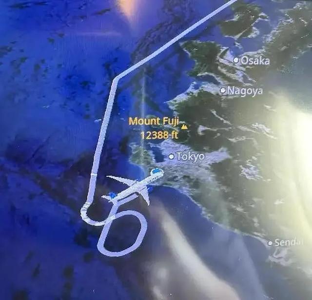 为全机降落买单！大妈万米高空撒泼，后续代价让全网极度舒适 - 4
