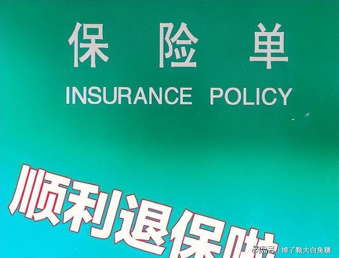 700万人卷铺盖跑了!保险这碗饭,怎么就“馊”到没人吃了? - 10