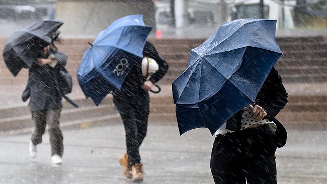 狂风暴雨席卷澳洲!多地拉响警报,气象局:最糟糕的情况还没到(组图) - 1