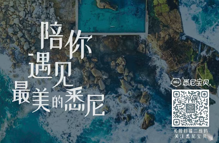 全澳多州连夜官宣破例!澳洲“袋鼠军团”迎战埃及生死局!这一天,酒吧“通宵不打烊”!政府加开地铁!(组图) - 5