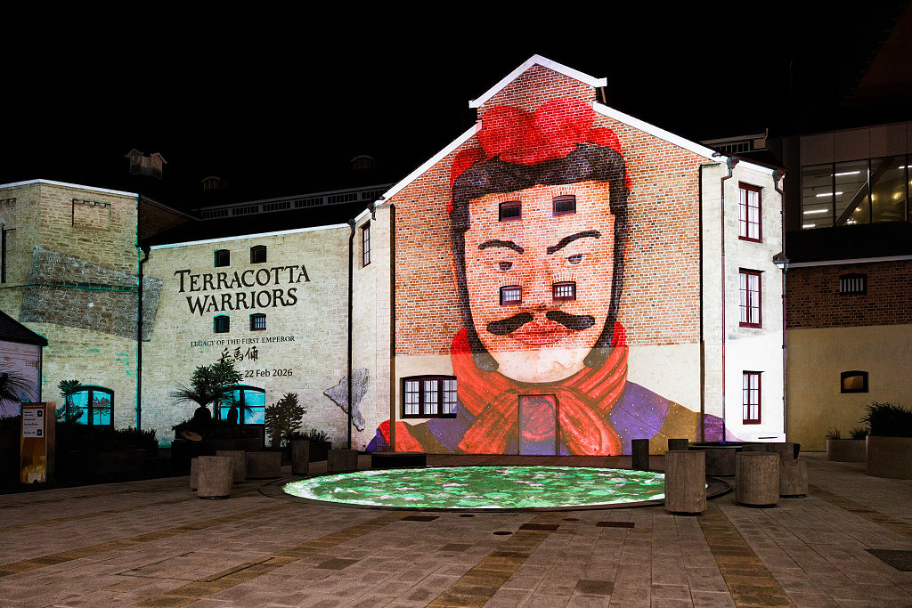 你去打卡了吗?兵马俑出海西澳“火出圈”:吸金近2亿澳元,被赞“史上最成功展览”(组图) - 3
