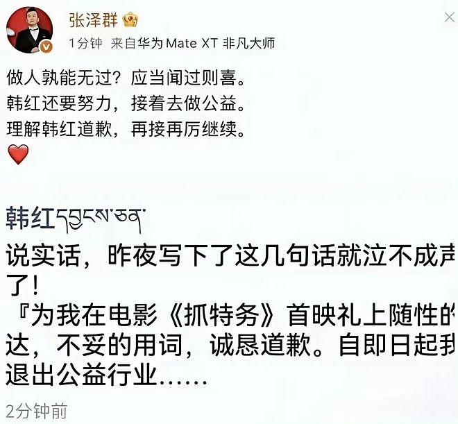 做了十几年公益,被一句话逼到“退圈”,韩红冤不冤? - 4