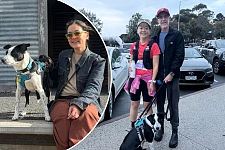 签证费直接翻三倍！PR被迫考虑入籍澳洲，上万人联署请愿（组图）