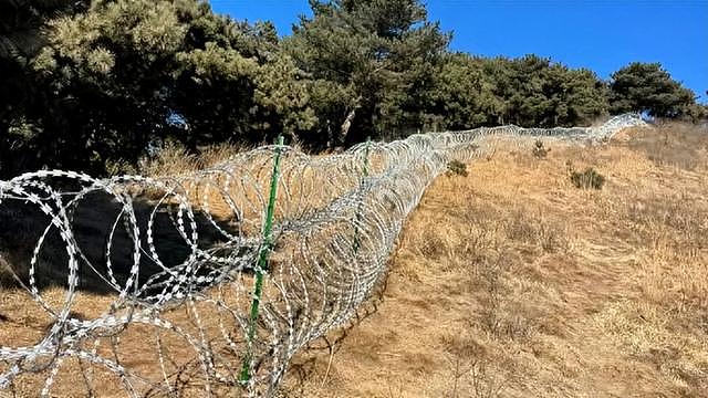 耗资2500万,135公里刀片刺绳隔离网,泰山究竟要防什么? - 2