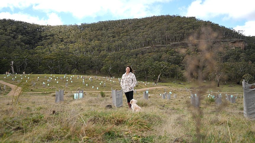 10岁华人女童不幸溺亡，澳华人夫妇骨灰种树悼念爱女（组图） - 1