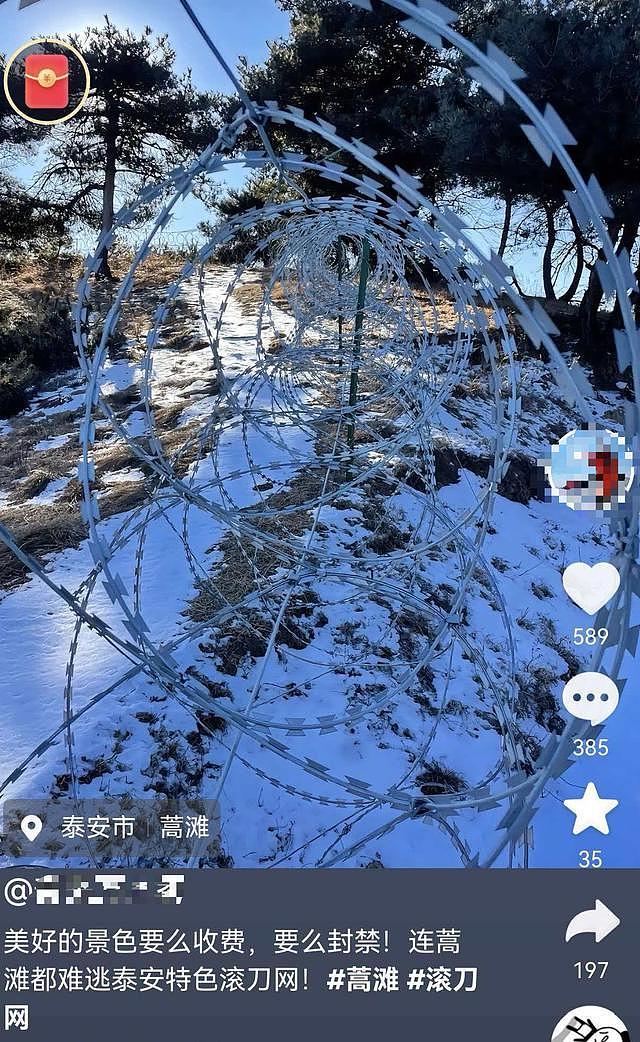 崂山被曝布设泰山同款“刀片网”，环保部门：未收到审批申请（组图） - 2