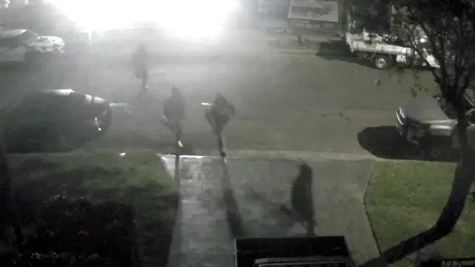 悉尼惊现青少年持刀入室抢劫,两名受害者惨遭断手切指 - 3