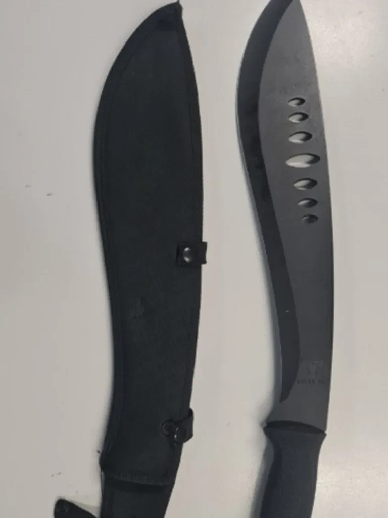 悉尼惊现青少年持刀入室抢劫,两名受害者惨遭断手切指 - 7
