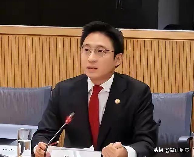 三亚大婚风波余热未消,港府授勋名单曝光,霍启山真实底色藏不住 - 7