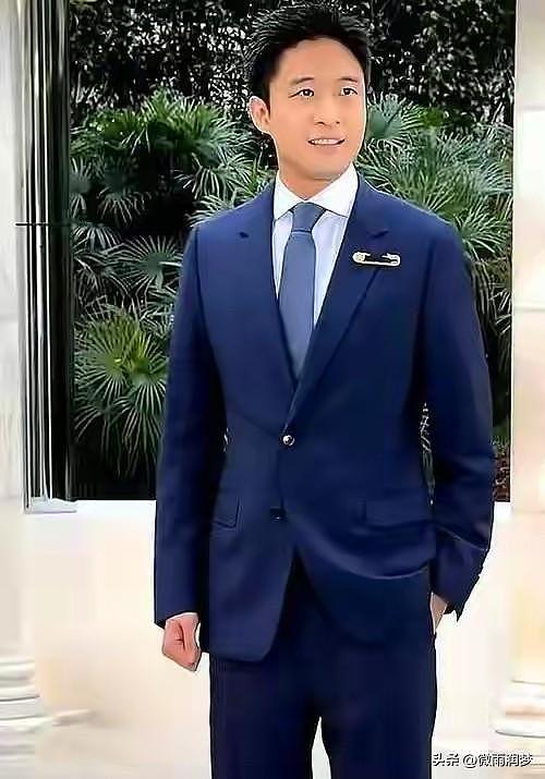 三亚大婚风波余热未消,港府授勋名单曝光,霍启山真实底色藏不住 - 11