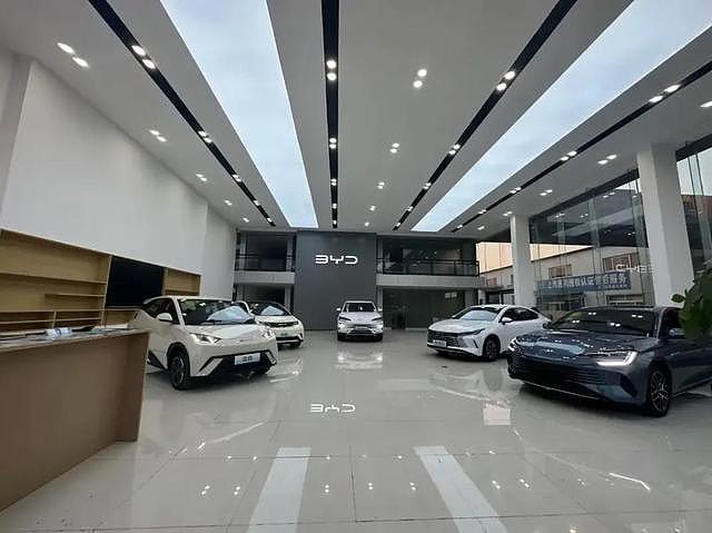 蒸发8000亿！比亚迪彻底跌落神坛，真实处境远比你想象残酷 - 2