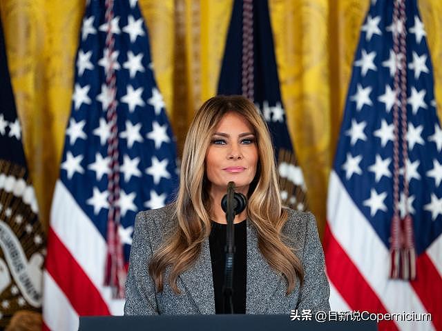 特朗普一年赚$20亿,老婆赚$1720万!白宫回应:从未参与利益冲突 - 1